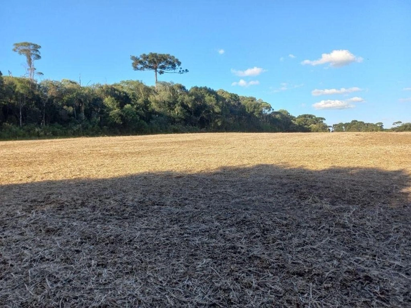 null: 20ª foto da galeria de imagens do imóvel