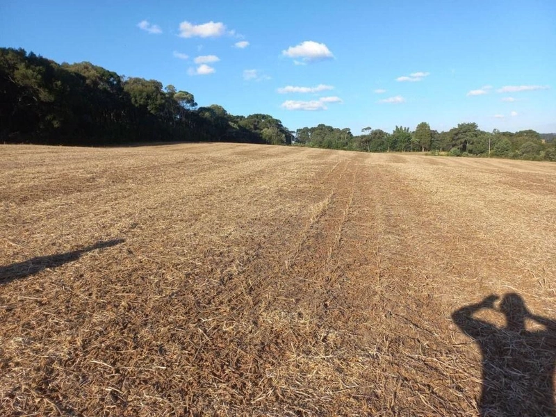 null: 21ª foto da galeria de imagens do imóvel