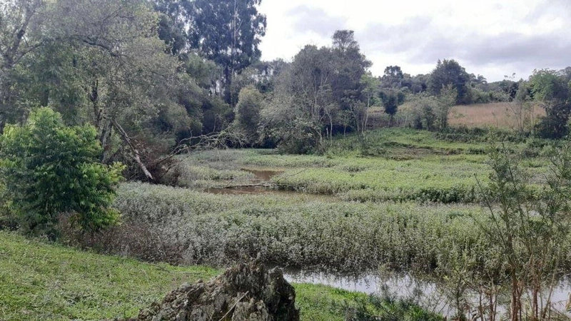 null: 7ª foto da galeria de imagens do imóvel