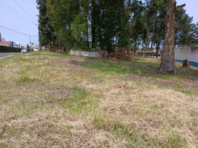 null: 6ª foto da galeria de imagens do imóvel