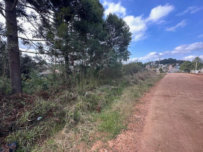 null: 5ª foto da galeria de imagens do imóvel