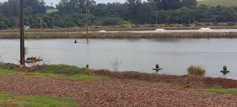 null: 1ª foto da galeria de imagens do imóvel