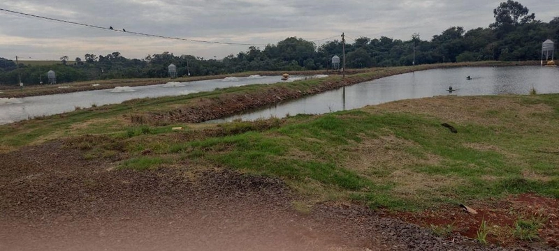 null: 10ª foto da galeria de imagens do imóvel