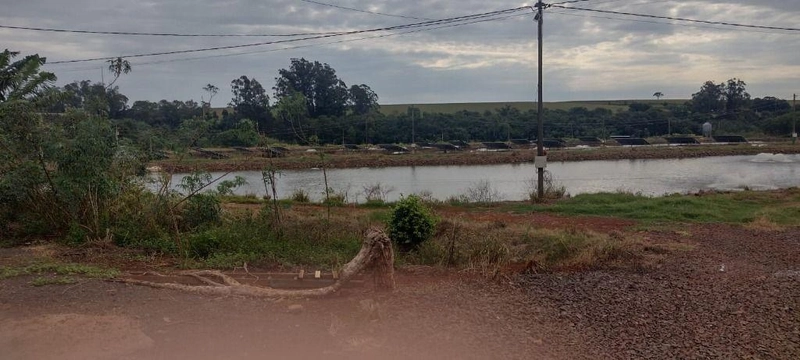 null: 11ª foto da galeria de imagens do imóvel