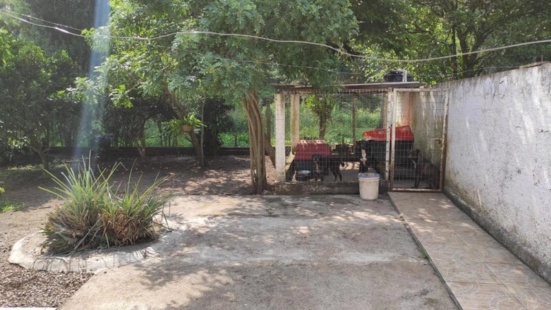 null: 24ª foto da galeria de imagens do imóvel