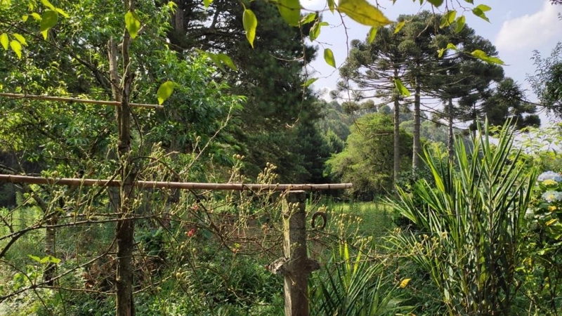 null: 26ª foto da galeria de imagens do imóvel