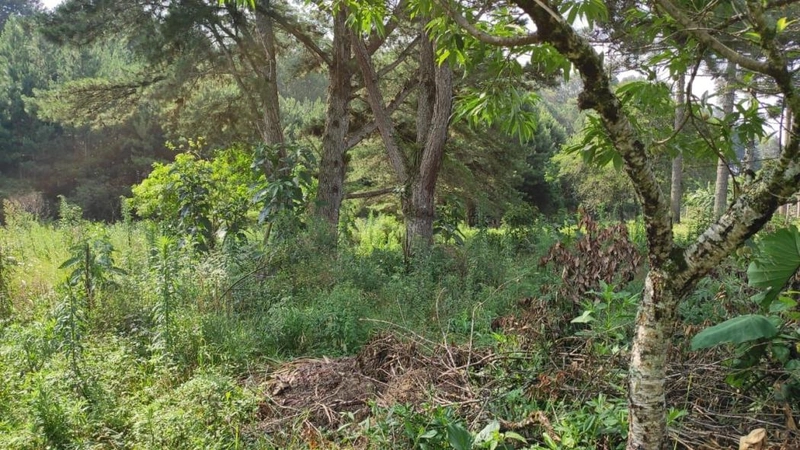 null: 28ª foto da galeria de imagens do imóvel