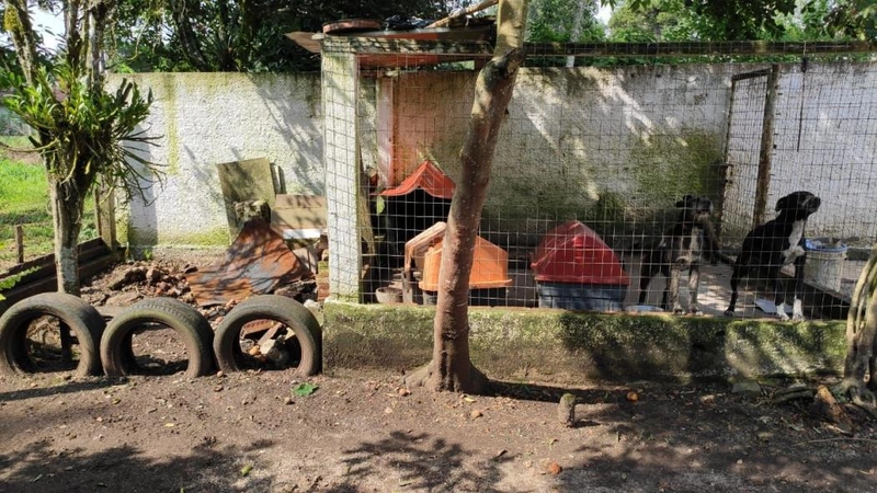 null: 30ª foto da galeria de imagens do imóvel