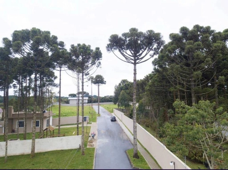 null: 13ª foto da galeria de imagens do imóvel