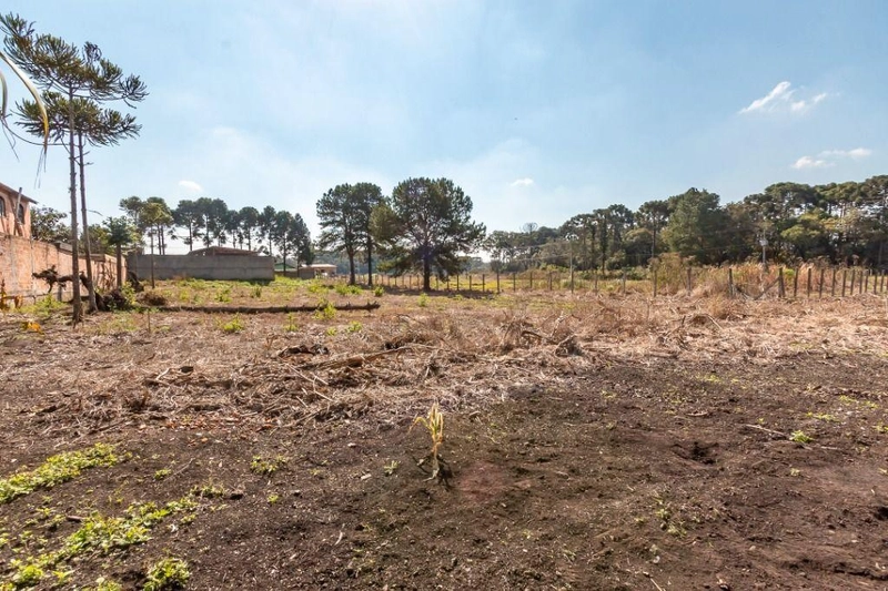 null: 12ª foto da galeria de imagens do imóvel