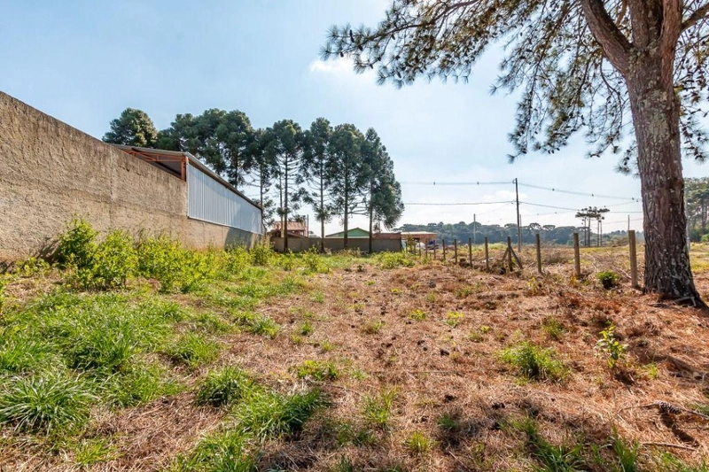 null: 15ª foto da galeria de imagens do imóvel