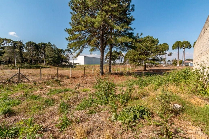 null: 16ª foto da galeria de imagens do imóvel