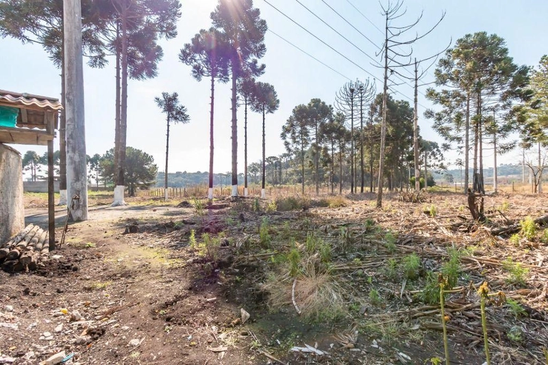 null: 5ª foto da galeria de imagens do imóvel