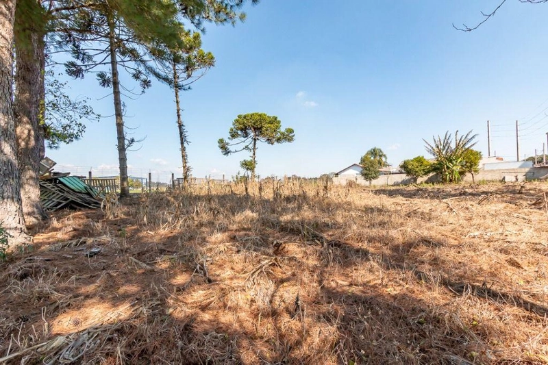 null: 8ª foto da galeria de imagens do imóvel