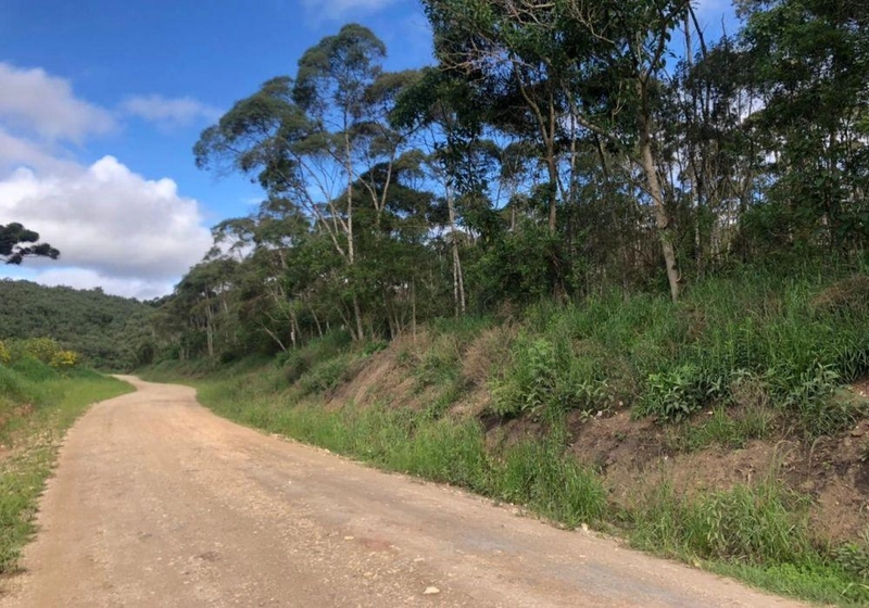 null: 1ª foto da galeria de imagens do imóvel