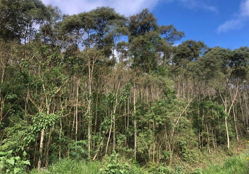 null: 10ª foto da galeria de imagens do imóvel