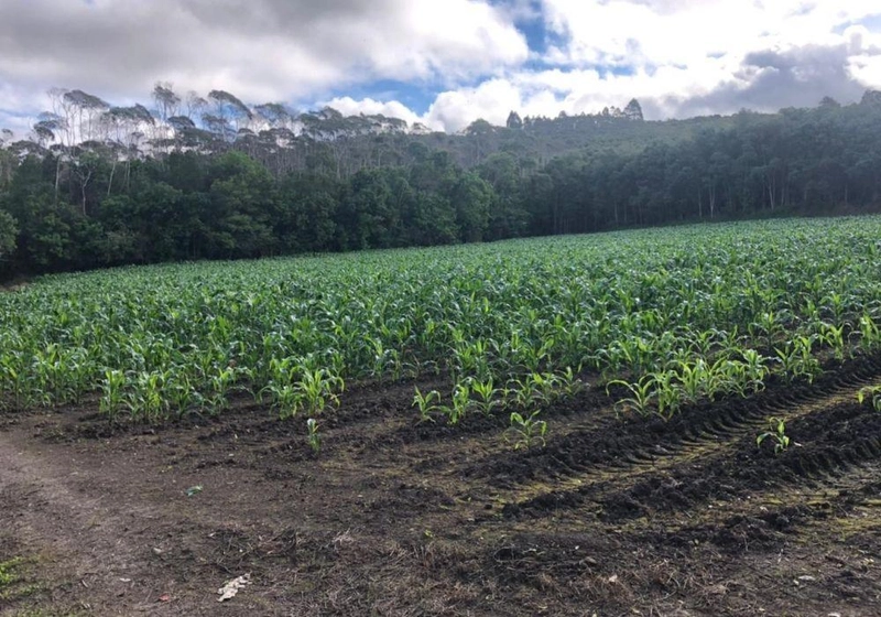 null: 11ª foto da galeria de imagens do imóvel