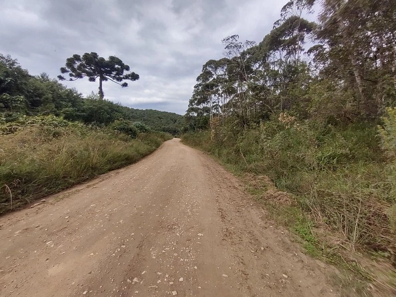 null: 14ª foto da galeria de imagens do imóvel