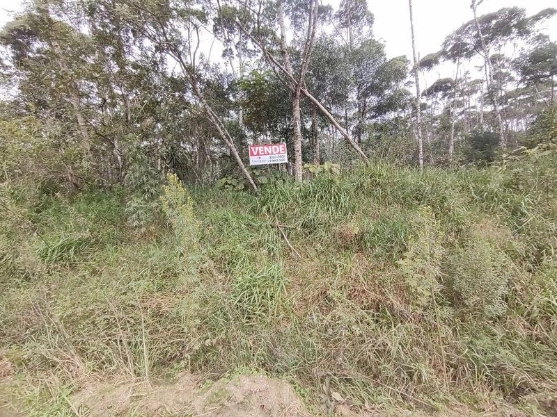 null: 15ª foto da galeria de imagens do imóvel