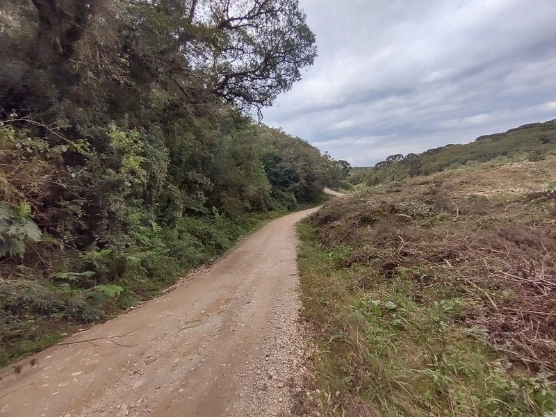 null: 17ª foto da galeria de imagens do imóvel