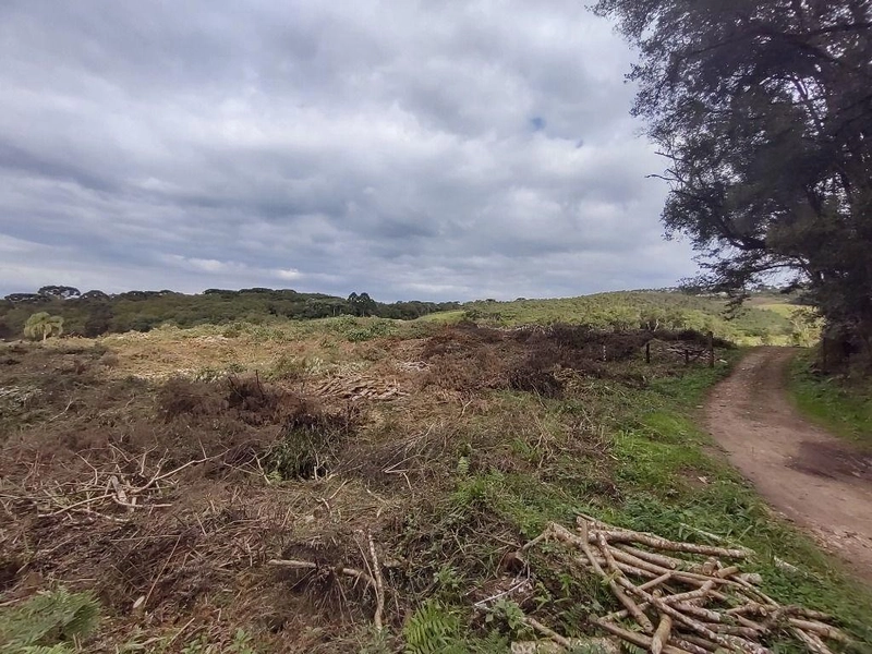 null: 20ª foto da galeria de imagens do imóvel