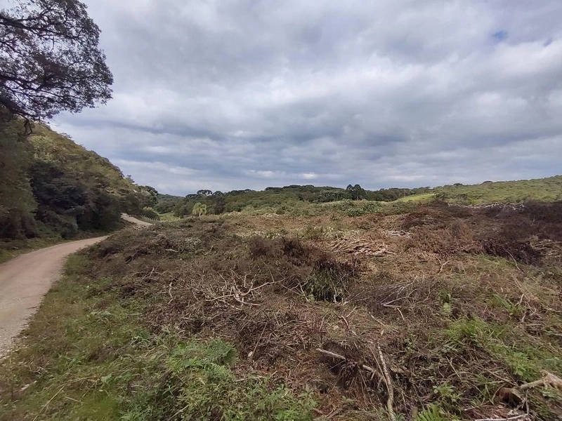 null: 21ª foto da galeria de imagens do imóvel