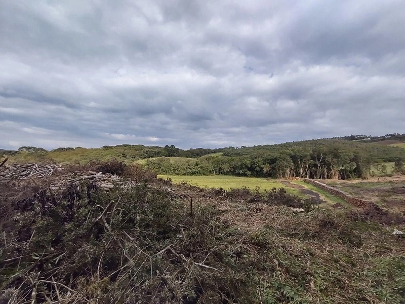 null: 23ª foto da galeria de imagens do imóvel