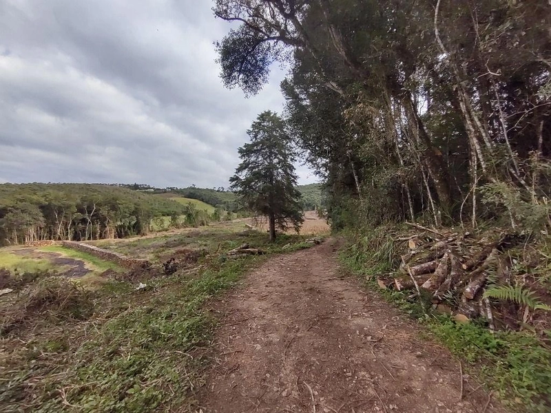 null: 24ª foto da galeria de imagens do imóvel