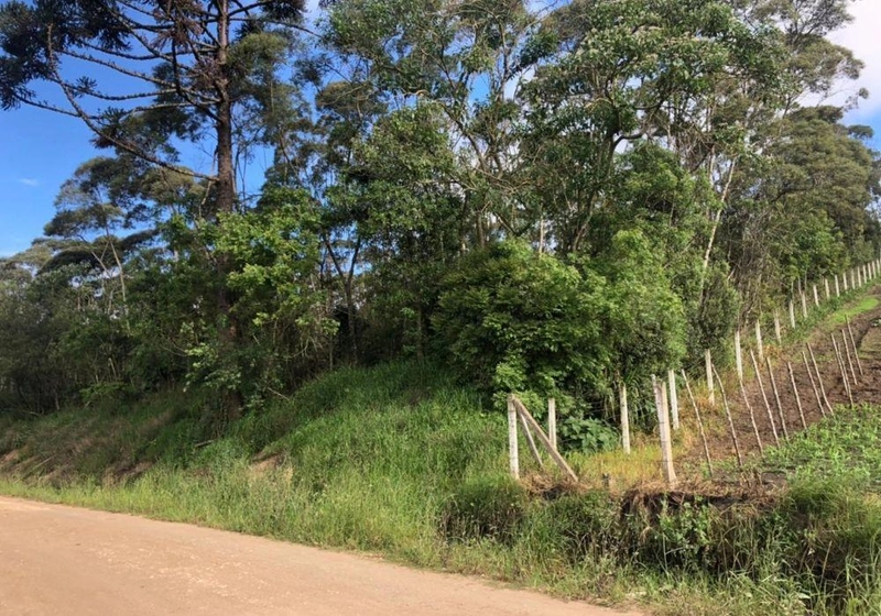 null: 3ª foto da galeria de imagens do imóvel