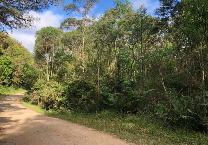 null: 4ª foto da galeria de imagens do imóvel