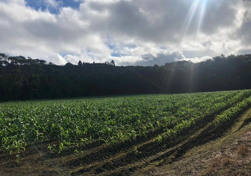 null: 7ª foto da galeria de imagens do imóvel