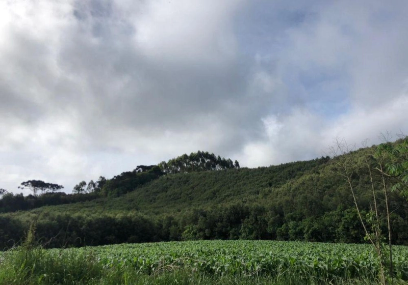 null: 8ª foto da galeria de imagens do imóvel