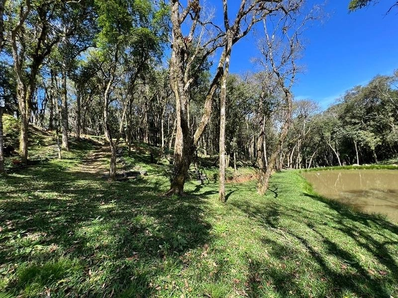 null: 22ª foto da galeria de imagens do imóvel