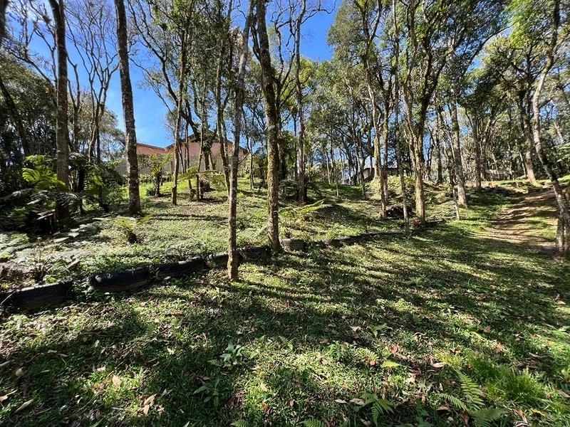 null: 24ª foto da galeria de imagens do imóvel