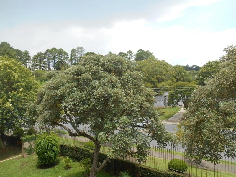 null: 9ª foto da galeria de imagens do imóvel