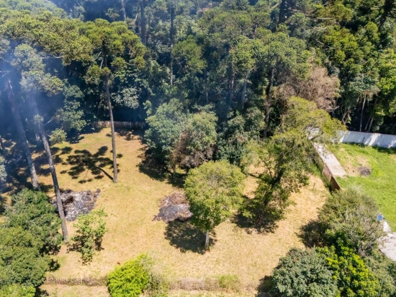 null: 5ª foto da galeria de imagens do imóvel