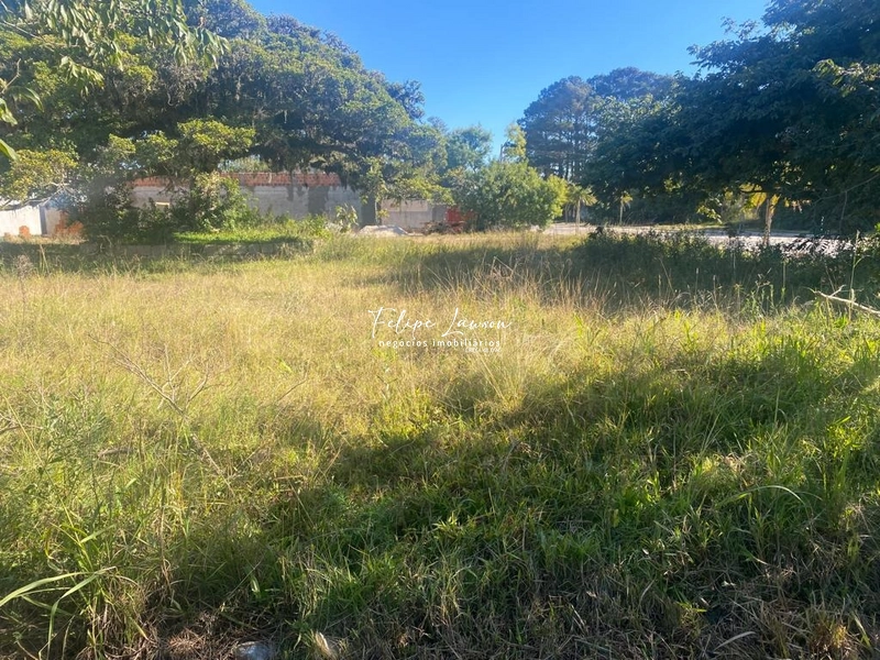 Terreno de esquina rua santo angelo 375m² no laranjal: 6ª foto da galeria de imagens do imóvel