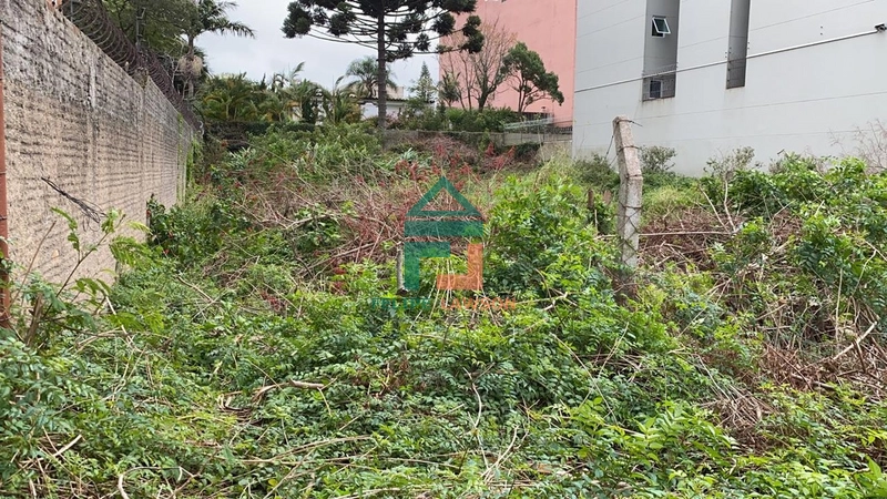 Terreno 880m² ideal para seu negócio na Av Juscelino K de Oliveira: 4ª foto da galeria de imagens do imóvel