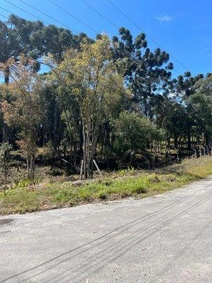 null: 12ª foto da galeria de imagens do imóvel