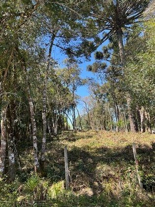 null: 14ª foto da galeria de imagens do imóvel