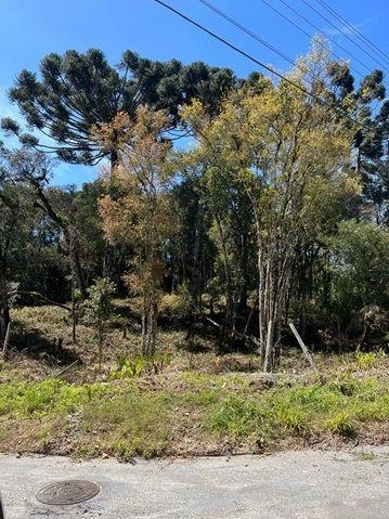 null: 15ª foto da galeria de imagens do imóvel