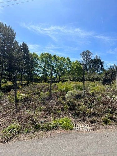 null: 19ª foto da galeria de imagens do imóvel