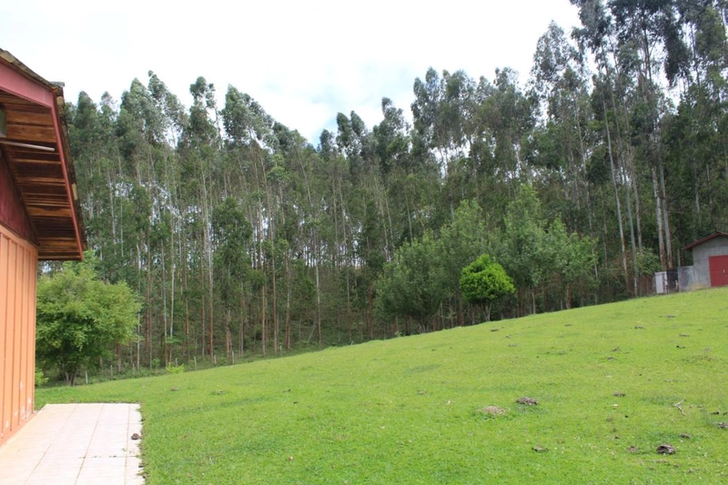 null: 24ª foto da galeria de imagens do imóvel