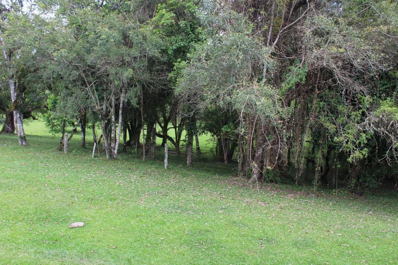 null: 37ª foto da galeria de imagens do imóvel