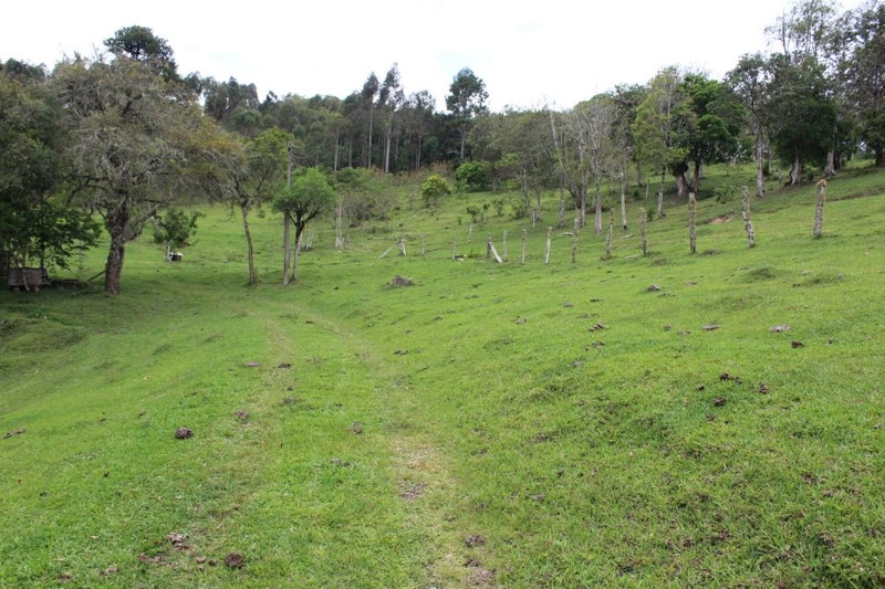 null: 41ª foto da galeria de imagens do imóvel