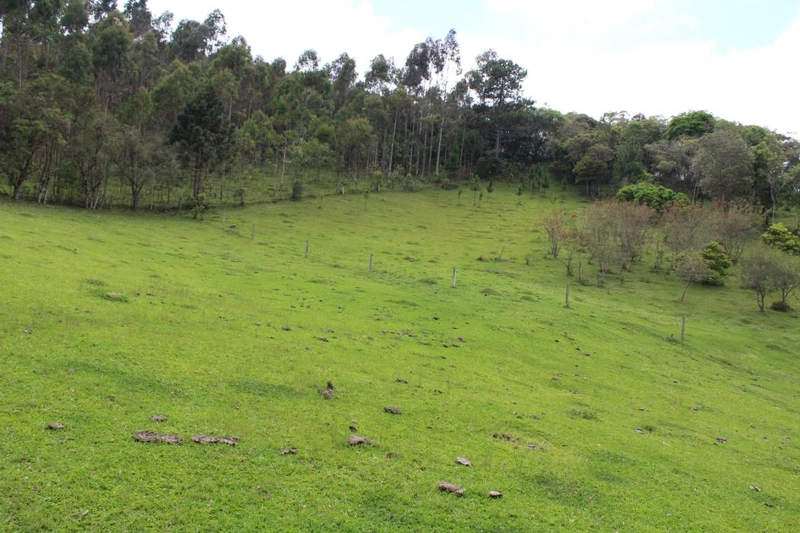 null: 5ª foto da galeria de imagens do imóvel