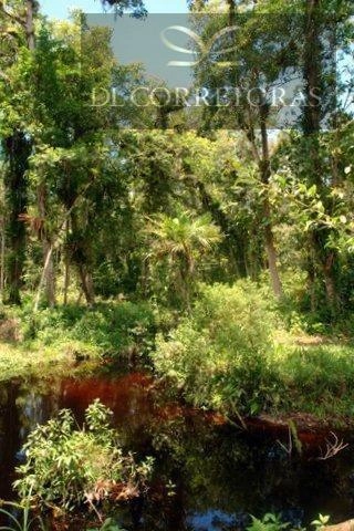 null: 11ª foto da galeria de imagens do imóvel