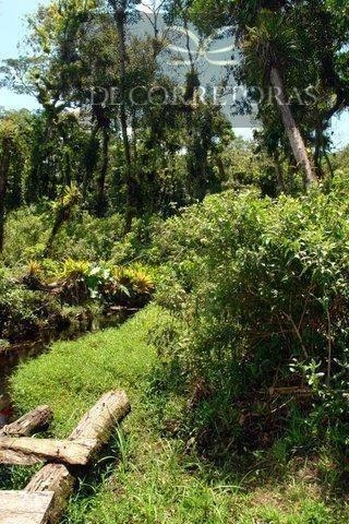 null: 12ª foto da galeria de imagens do imóvel