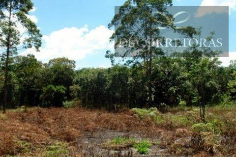 null: 13ª foto da galeria de imagens do imóvel