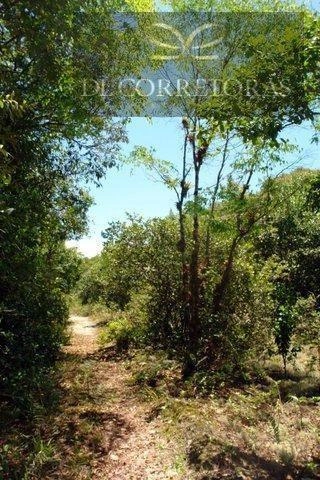 null: 21ª foto da galeria de imagens do imóvel